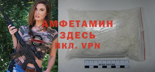 прущие грибы Куровское