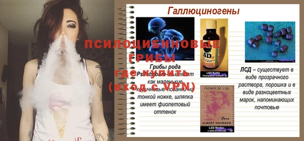 ГАЛЛЮЦИНОГЕННЫЕ ГРИБЫ Зеленодольск