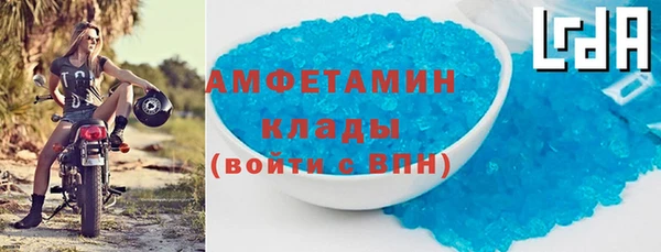 прущие грибы Куровское