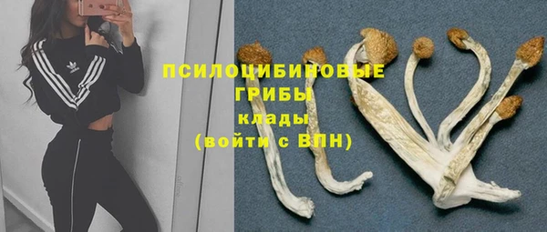 гидра Зеленокумск